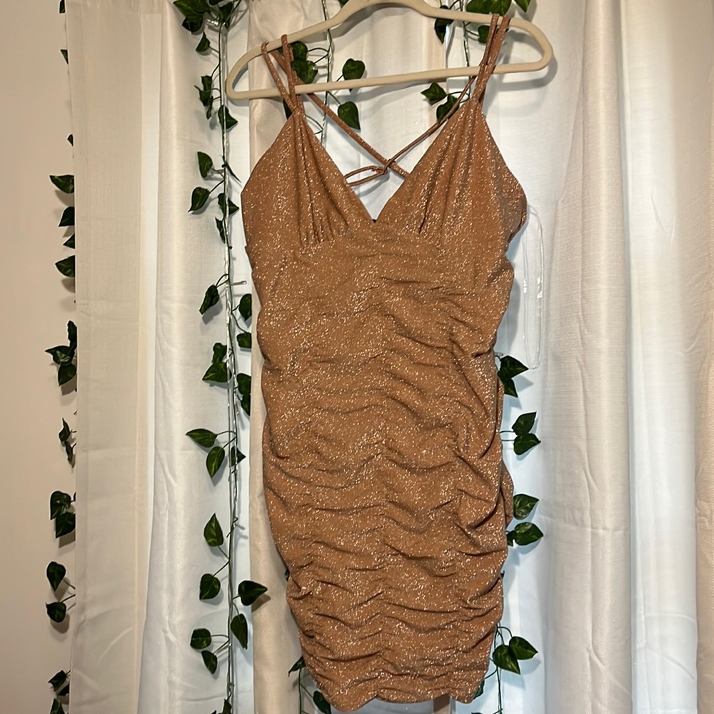 Wild Fable Rouched Dress